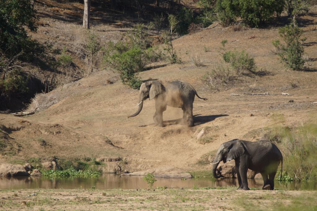 Tau @ Kruger Villa Marloth Park Dış mekan fotoğraf